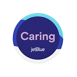 JETBLUE VALUES PINS
